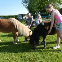 Boerderijcamping De Blökke in de Achterhoek foto 9