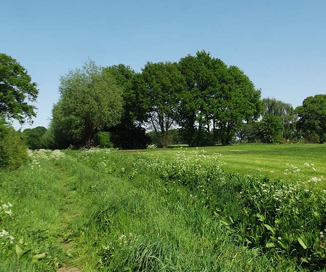 Rust ruimte natuur